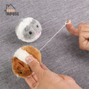 Mouse Toy for Cats for dogs - Cats, Interactive, Kittens, Mice, Wind up