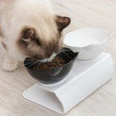 Food & Water Bowl for Cats for dogs - Bowl, Feeder, Feeding, Food, Water