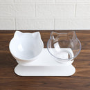 Food & Water Bowl for Cats for dogs - Bowl, Feeder, Feeding, Food, Water