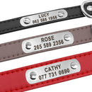 Personalized Leather Collar w/ ID Tag for dogs - Collar, Custom, Engrave, ID, Leather, Name, Number, Personal, Phone, Tag