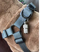 ID Capsule (Write Your Own Note) for dogs - Address, Custom, Engrave, ID, Label, Message, Name, Personal, Phone, Tag
