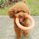 Flying Ring for dogs - Catch, Disc, Fetch, Flying, Frisbee, Ring, Saucer