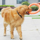 Flying Ring for dogs - Catch, Disc, Fetch, Flying, Frisbee, Ring, Saucer