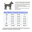 Personalized Harness - Custom Name & Phone Number (No Pull) for dogs - __label2:HappyDog's Choice, __label:Bestseller, Custom, Customizable, Customize Harness, Easy On, Engrave, Name, No-Pull, Personal, Personalized, Phone Number, Step In