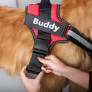 Personalized Harness - Custom Name & Phone Number (No Pull) for dogs - __label2:HappyDog's Choice, __label:Bestseller, Custom, Customizable, Customize Harness, Easy On, Engrave, Name, No-Pull, Personal, Personalized, Phone Number, Step In