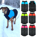 Everyday Winter Vest for dogs - Coat, Jacket, Snow, Vest, Warm, Winter