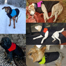 Everyday Winter Vest for dogs - Coat, Jacket, Snow, Vest, Warm, Winter