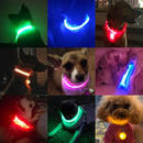 Rechargeable LED Glow Collar for dogs - __label:Bestseller, Chargeable, Collar, LED, Light, Safety, USB