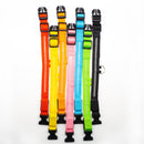 Rechargeable LED Glow Collar for dogs - __label:Bestseller, Chargeable, Collar, LED, Light, Safety, USB