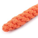 Carrot Rope Toy for dogs - Carrot, Fetch, Outdoor, Rope, Toy, Training