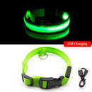 Rechargeable LED Glow Collar for dogs - __label:Bestseller, Chargeable, Collar, LED, Light, Safety, USB