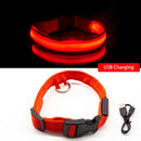 Rechargeable LED Glow Collar for dogs - __label:Bestseller, Chargeable, Collar, LED, Light, Safety, USB