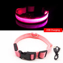 Rechargeable LED Glow Collar for dogs - __label:Bestseller, Chargeable, Collar, LED, Light, Safety, USB
