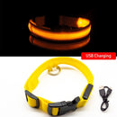 Rechargeable LED Glow Collar for dogs - __label:Bestseller, Chargeable, Collar, LED, Light, Safety, USB