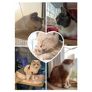 Hanging Hammock Bed for Cats