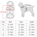 Snow Jacket for dogs - Coat, Jacket, Snow, Winter