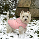 Snow Jacket for dogs - Coat, Jacket, Snow, Winter