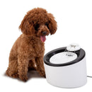 Automatic Water Fountain