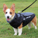 Large Dog Winter Jacket w/ Faux Fur for dogs - Big, Big Dogs, Coat, Cold, D-Ring, Jacket, Jumpsuit, Large, Reflective, Waterproof, Winter