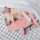 Plush Squeaky Pig Toy for dogs - __label2:HappyDog's Choice, __label:Bestseller, Chew, Chewy Squeaky, Plush, Soft, Squeaker, Toy
