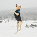 Everyday Winter Vest for dogs - Coat, Jacket, Snow, Vest, Warm, Winter