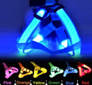 LED Glow in the Dark Harness (No-Pull) for dogs - __label2:HappyDog's Choice, __label:Bestseller, Adjustable, Blue, Collar, Easy On, Green, Harness, LED, Lights, No-Pull, Orange, Purple, Red, Safety, Step In, Yellow