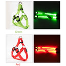LED Glow in the Dark Harness (No-Pull) for dogs - __label2:HappyDog's Choice, __label:Bestseller, Adjustable, Blue, Collar, Easy On, Green, Harness, LED, Lights, No-Pull, Orange, Purple, Red, Safety, Step In, Yellow