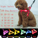 LED Glow in the Dark Harness (No-Pull) for dogs - __label2:HappyDog's Choice, __label:Bestseller, Adjustable, Blue, Collar, Easy On, Green, Harness, LED, Lights, No-Pull, Orange, Purple, Red, Safety, Step In, Yellow