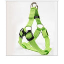 LED Glow in the Dark Harness (No-Pull) for dogs - __label2:HappyDog's Choice, __label:Bestseller, Adjustable, Blue, Collar, Easy On, Green, Harness, LED, Lights, No-Pull, Orange, Purple, Red, Safety, Step In, Yellow