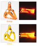 LED Glow in the Dark Harness (No-Pull) for dogs - __label2:HappyDog's Choice, __label:Bestseller, Adjustable, Blue, Collar, Easy On, Green, Harness, LED, Lights, No-Pull, Orange, Purple, Red, Safety, Step In, Yellow