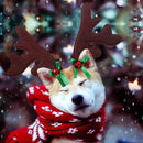 Christmas Reindeer Antlers for dogs - Antlers, Christmas, Gear, Head, Reindeer, Strap, Xmas