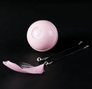 Automatic Rolling Smart Ball w/ Lights (USB Rechargeable) for Cats