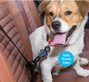 Car Seat Belt Harness & Collar Lock