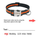 Reflective Personalized Custom Collar