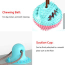 Suction Cup Food Chew Ball