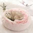 Calming Cat Cove Bed