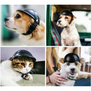 Bike Basket Carrier & Helmet for dogs - Basket, Bike, Carrier, Cycle