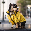 Classic Yellow Raincoat