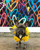 Classic Yellow Raincoat