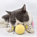 Smart Interactive Ball w/ Sounds for Cats