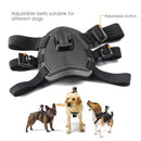 Pro Camera Mount Dog Harness
