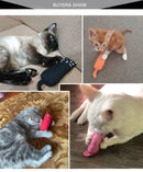 Kitten Cuddle Buddy for Cats
