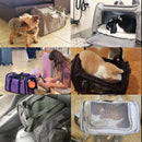 Breathable Travel Carrier