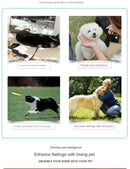 Recordable & Interactive Pet Communication Buttons