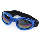 Sun & Wind Goggles for dogs - Eyes, Glasses, Goggles, Protection, Sunglasses