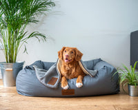 How to Pick the Best Bed for Your Dog: FAQs