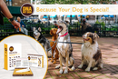 DNA MY Dog - Canine Breed Identification Test Kit (Dog DNA) for dogs - Breeds, DNA, Dog DNA, Mutt, Swab, Test
