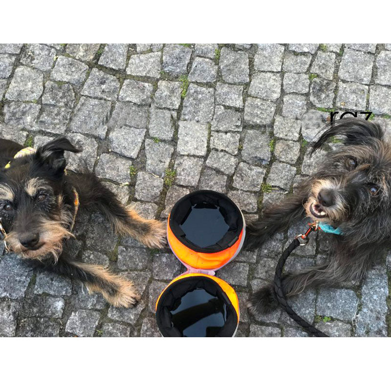 Neon Portable & Collapsible Bowls for dogs - __label:Bestseller, Bowl, Clip, Collapse, Feeder, Foldable, Food, Portable