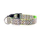Leopard LED Glow Collar