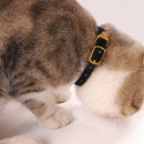 Classic Collar for Cats for dogs - Buckle, Cats, Collar
